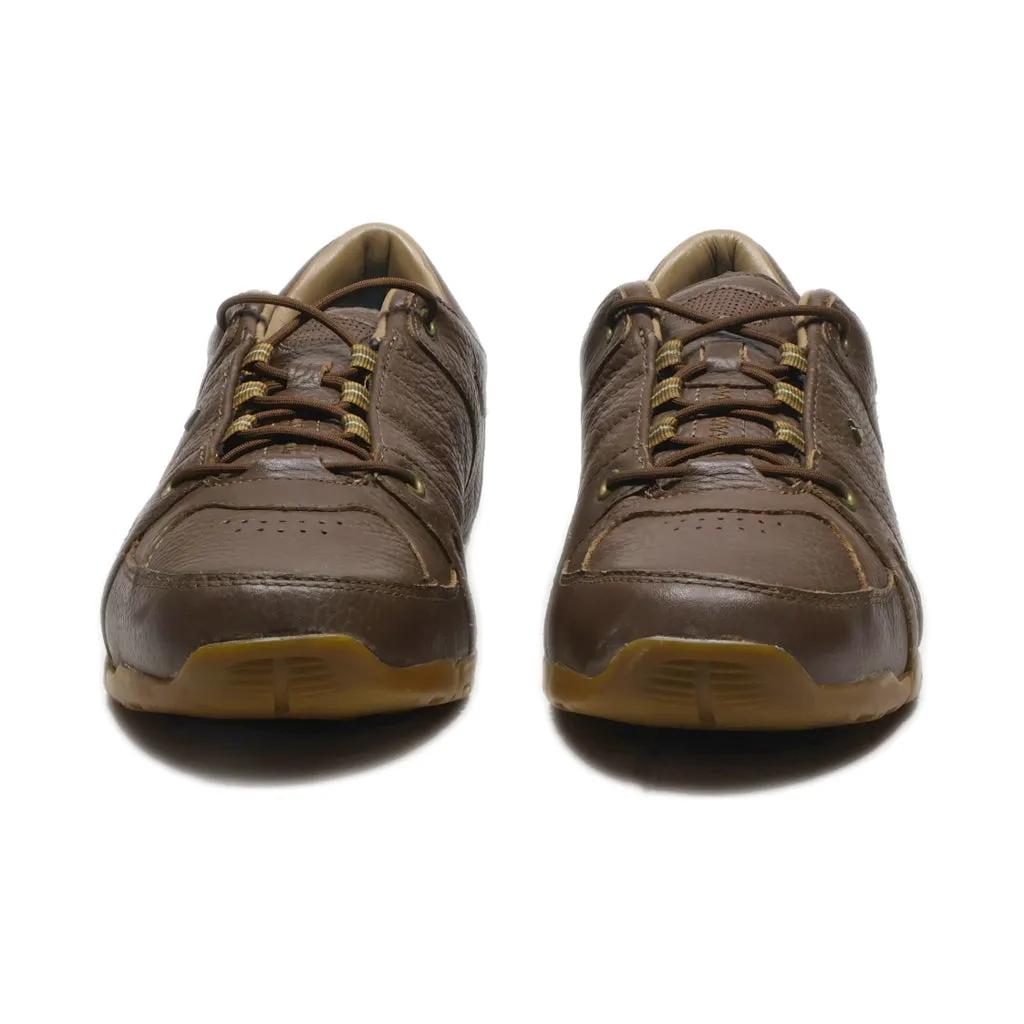 Dachstein Casual Lace Ups Leather Brown Colour For Men