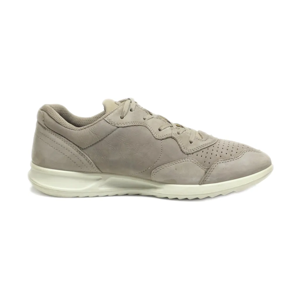 Ecco Low-Top Sneakers Leather Grey Colour For Women