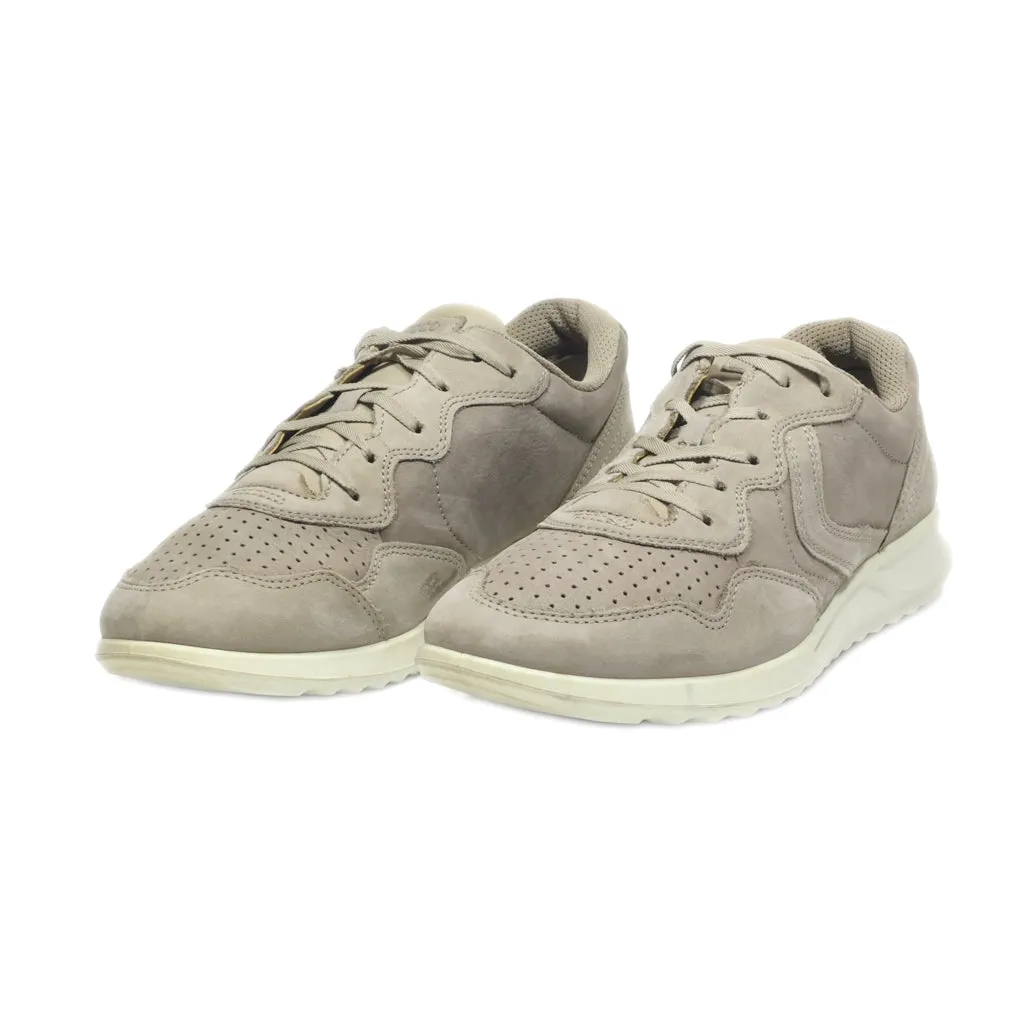 Ecco Low-Top Sneakers Leather Grey Colour For Women